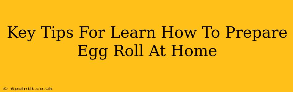 Key Tips For Learn How To Prepare Egg Roll At Home