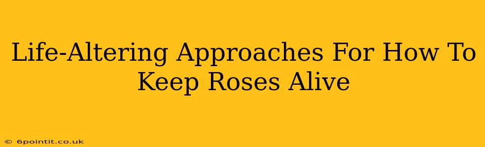 Life-Altering Approaches For How To Keep Roses Alive