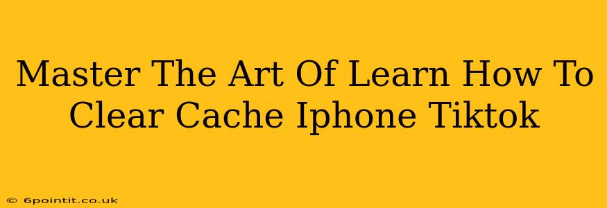 Master The Art Of Learn How To Clear Cache Iphone Tiktok