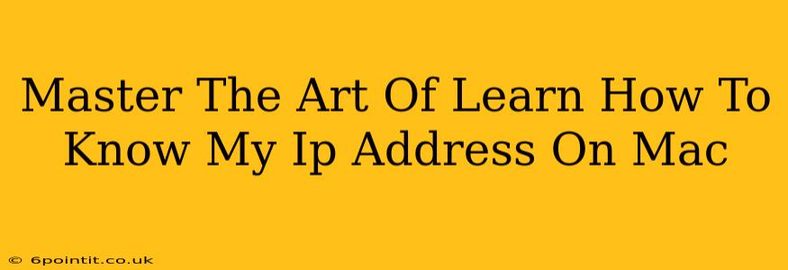 Master The Art Of Learn How To Know My Ip Address On Mac