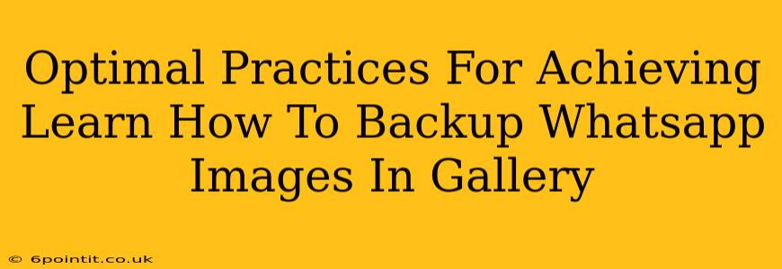 Optimal Practices For Achieving Learn How To Backup Whatsapp Images In Gallery