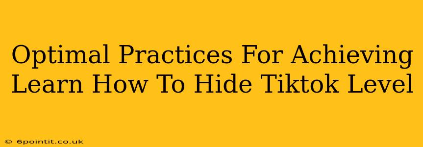 Optimal Practices For Achieving Learn How To Hide Tiktok Level