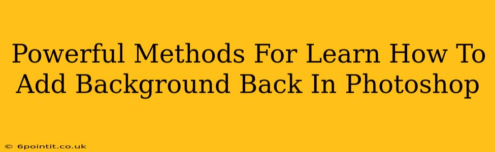 Powerful Methods For Learn How To Add Background Back In Photoshop