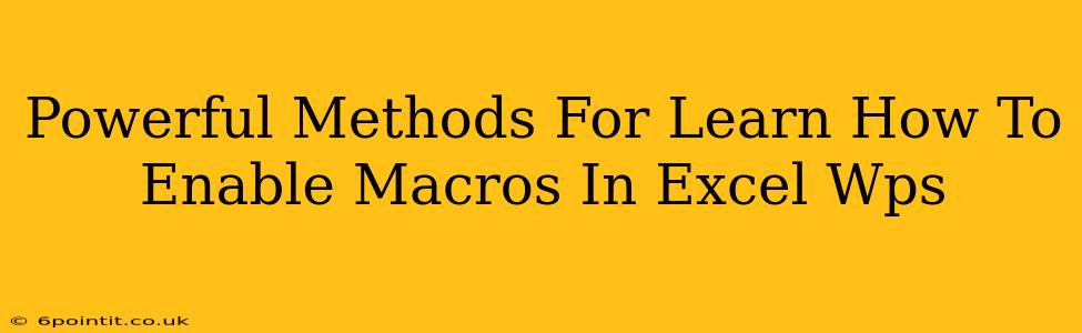 Powerful Methods For Learn How To Enable Macros In Excel Wps