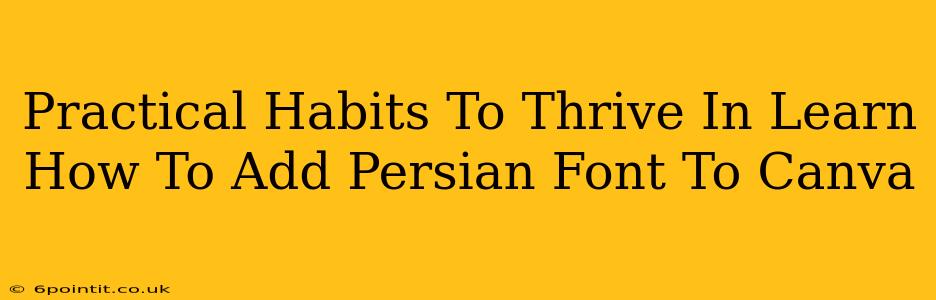 Practical Habits To Thrive In Learn How To Add Persian Font To Canva