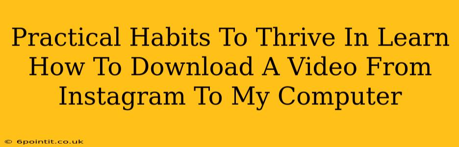 Practical Habits To Thrive In Learn How To Download A Video From Instagram To My Computer