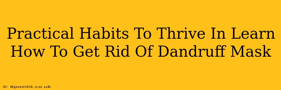 Practical Habits To Thrive In Learn How To Get Rid Of Dandruff Mask