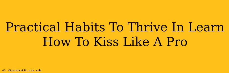 Practical Habits To Thrive In Learn How To Kiss Like A Pro