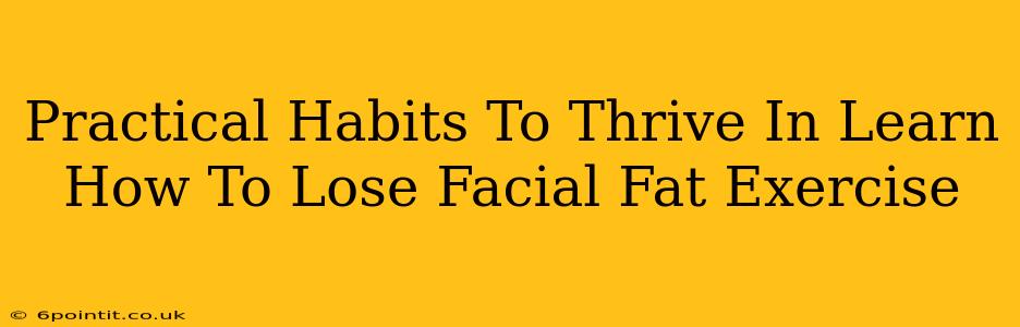 Practical Habits To Thrive In Learn How To Lose Facial Fat Exercise