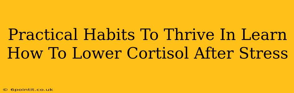 Practical Habits To Thrive In Learn How To Lower Cortisol After Stress