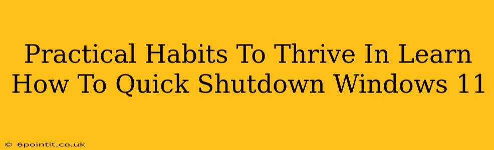 Practical Habits To Thrive In Learn How To Quick Shutdown Windows 11