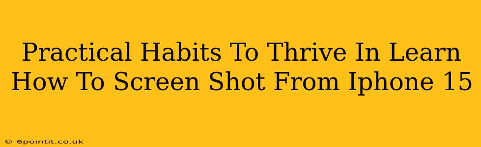 Practical Habits To Thrive In Learn How To Screen Shot From Iphone 15