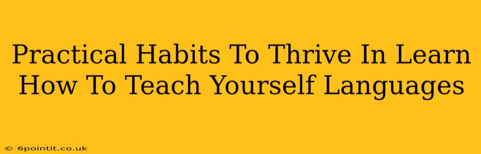 Practical Habits To Thrive In Learn How To Teach Yourself Languages