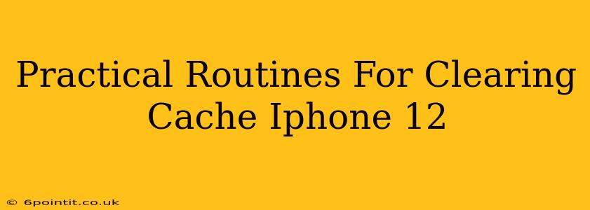 Practical Routines For Clearing Cache Iphone 12