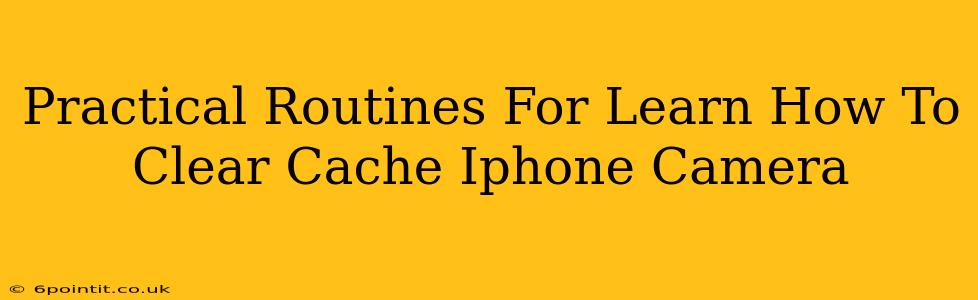 Practical Routines For Learn How To Clear Cache Iphone Camera