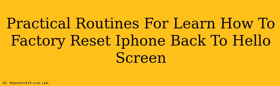 Practical Routines For Learn How To Factory Reset Iphone Back To Hello Screen