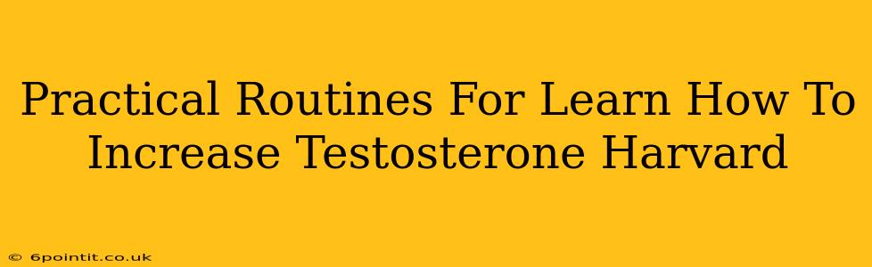 Practical Routines For Learn How To Increase Testosterone Harvard