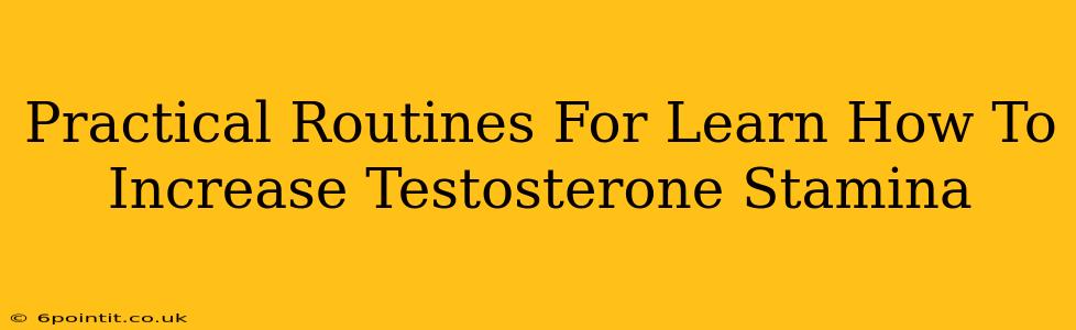 Practical Routines For Learn How To Increase Testosterone Stamina