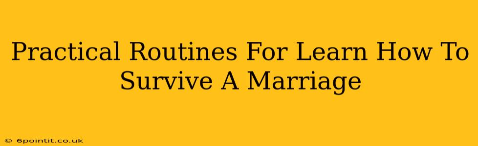 Practical Routines For Learn How To Survive A Marriage