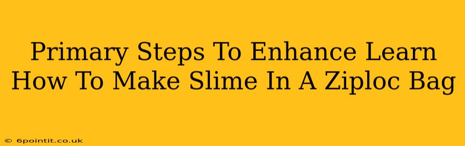 Primary Steps To Enhance Learn How To Make Slime In A Ziploc Bag