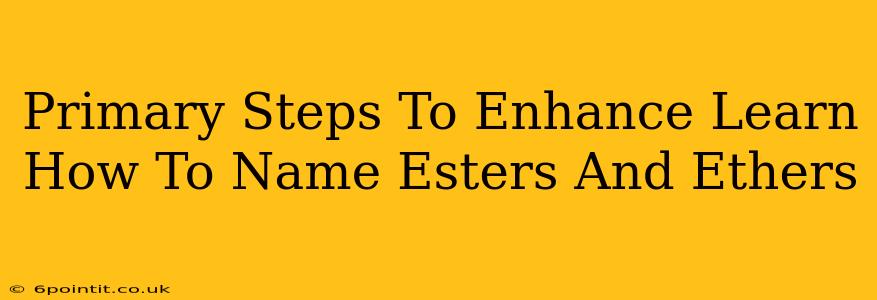 Primary Steps To Enhance Learn How To Name Esters And Ethers