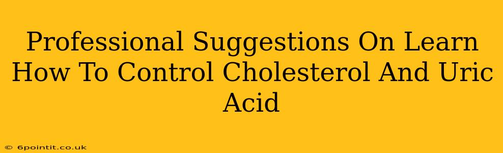 Professional Suggestions On Learn How To Control Cholesterol And Uric Acid