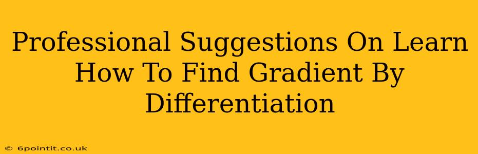 Professional Suggestions On Learn How To Find Gradient By Differentiation