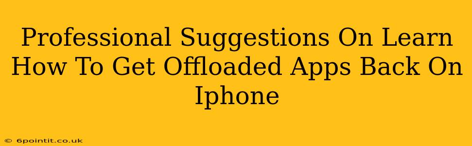 Professional Suggestions On Learn How To Get Offloaded Apps Back On Iphone