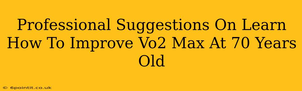 Professional Suggestions On Learn How To Improve Vo2 Max At 70 Years Old