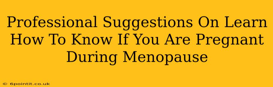 Professional Suggestions On Learn How To Know If You Are Pregnant During Menopause