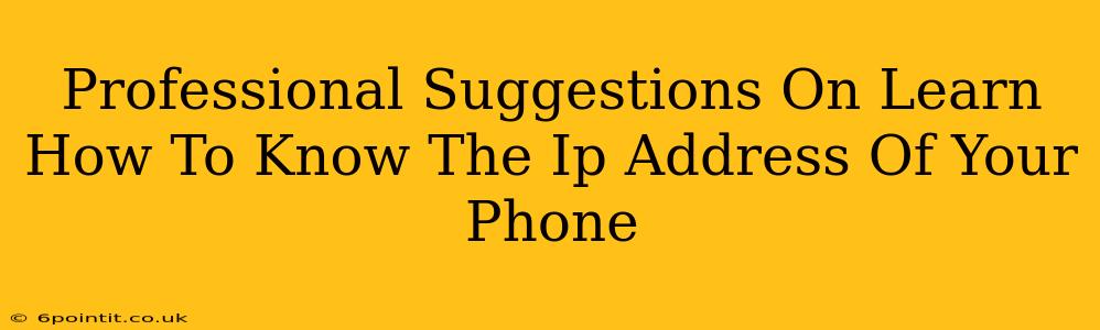 Professional Suggestions On Learn How To Know The Ip Address Of Your Phone