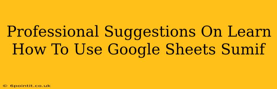 Professional Suggestions On Learn How To Use Google Sheets Sumif