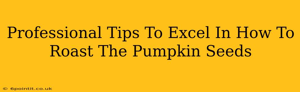 Professional Tips To Excel In How To Roast The Pumpkin Seeds