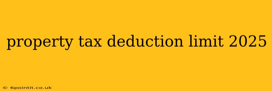 property tax deduction limit 2025