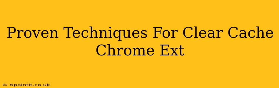 Proven Techniques For Clear Cache Chrome Ext