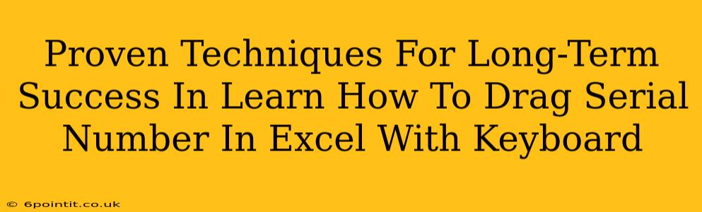 Proven Techniques For Long-Term Success In Learn How To Drag Serial Number In Excel With Keyboard