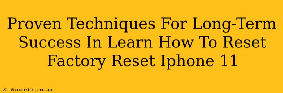 Proven Techniques For Long-Term Success In Learn How To Reset Factory Reset Iphone 11