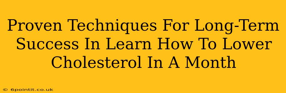 Proven Techniques For Long-Term Success In Learn How To Lower Cholesterol In A Month