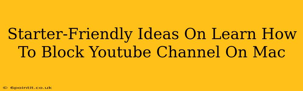 Starter-Friendly Ideas On Learn How To Block Youtube Channel On Mac