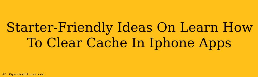 Starter-Friendly Ideas On Learn How To Clear Cache In Iphone Apps