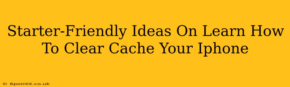 Starter-Friendly Ideas On Learn How To Clear Cache Your Iphone