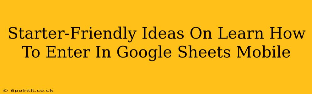 Starter-Friendly Ideas On Learn How To Enter In Google Sheets Mobile