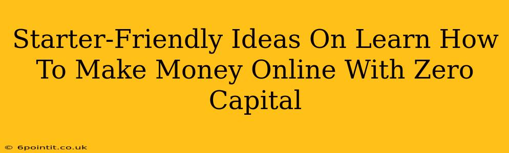 Starter-Friendly Ideas On Learn How To Make Money Online With Zero Capital