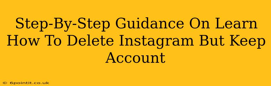 Step-By-Step Guidance On Learn How To Delete Instagram But Keep Account