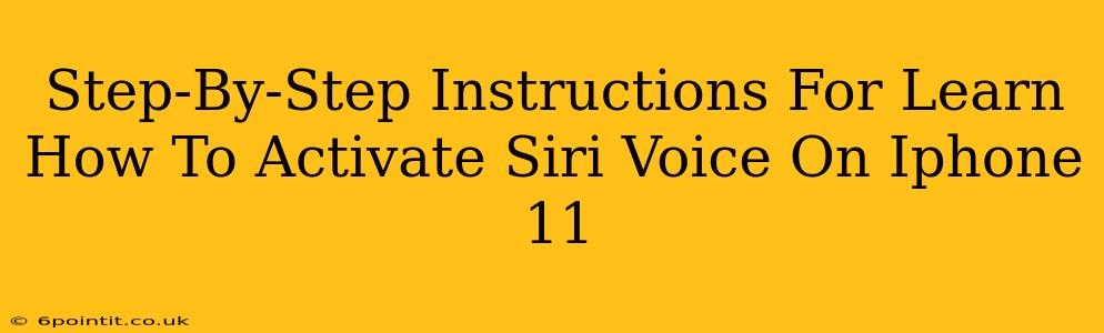 Step-By-Step Instructions For Learn How To Activate Siri Voice On Iphone 11