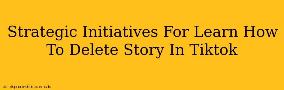 Strategic Initiatives For Learn How To Delete Story In Tiktok