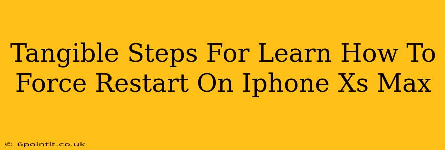 Tangible Steps For Learn How To Force Restart On Iphone Xs Max