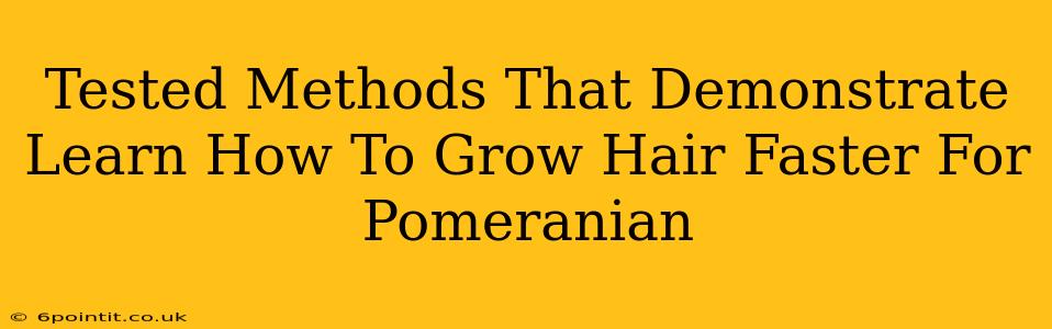 Tested Methods That Demonstrate Learn How To Grow Hair Faster For Pomeranian