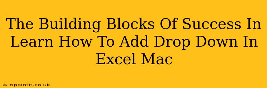 The Building Blocks Of Success In Learn How To Add Drop Down In Excel Mac