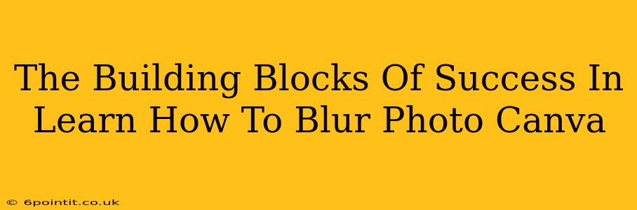 The Building Blocks Of Success In Learn How To Blur Photo Canva